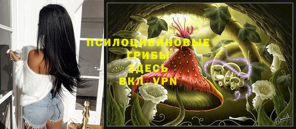бошки Кулебаки