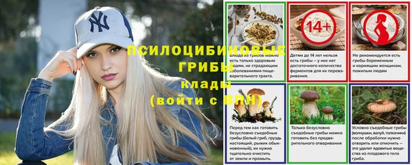 мдпв Куйбышев