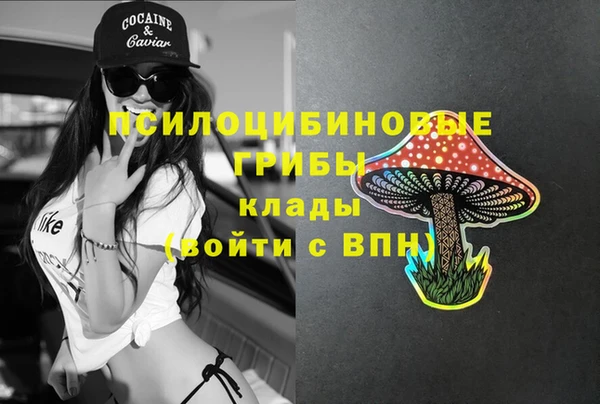 мдпв Куйбышев