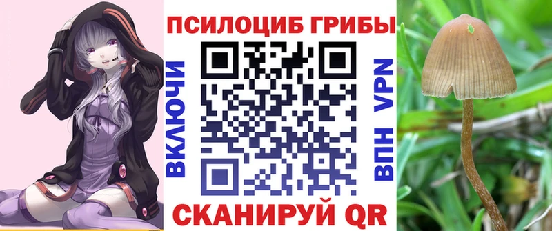 Галлюциногенные грибы Psilocybine cubensis  Шилка 
